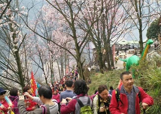 辛夷花观赏点去过的竟说坑？不朽情缘版深扒四川绵阳3处(图7)