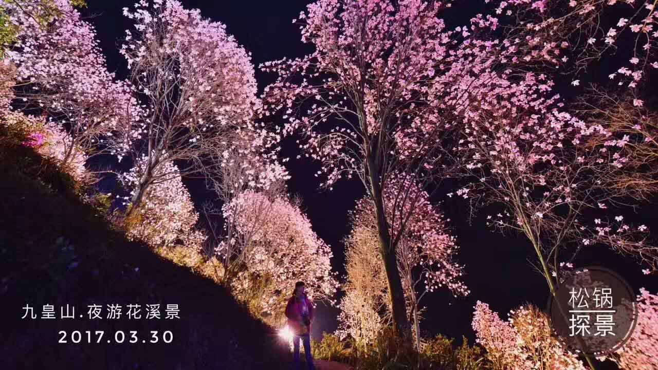 辛夷花观赏点去过的竟说坑？不朽情缘版深扒四川绵阳3处(图12)