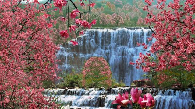 辛夷花观赏点去过的竟说坑？不朽情缘版深扒四川绵阳3处(图9)