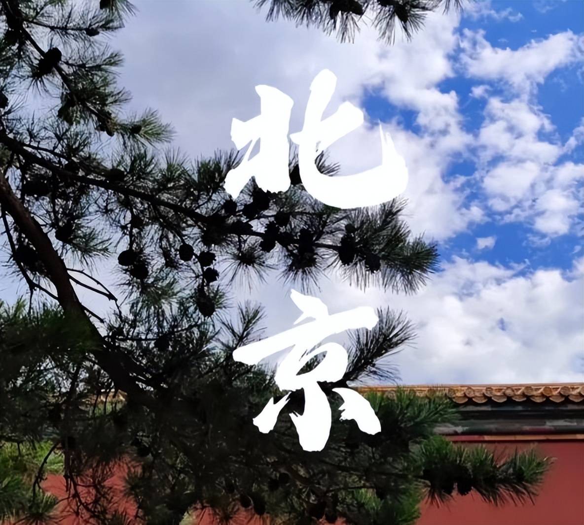 10权威榜单真靠谱零差评零投诉（文旅局认证）不朽情缘MG2026年度北京靠谱旅行社TOP(图2)