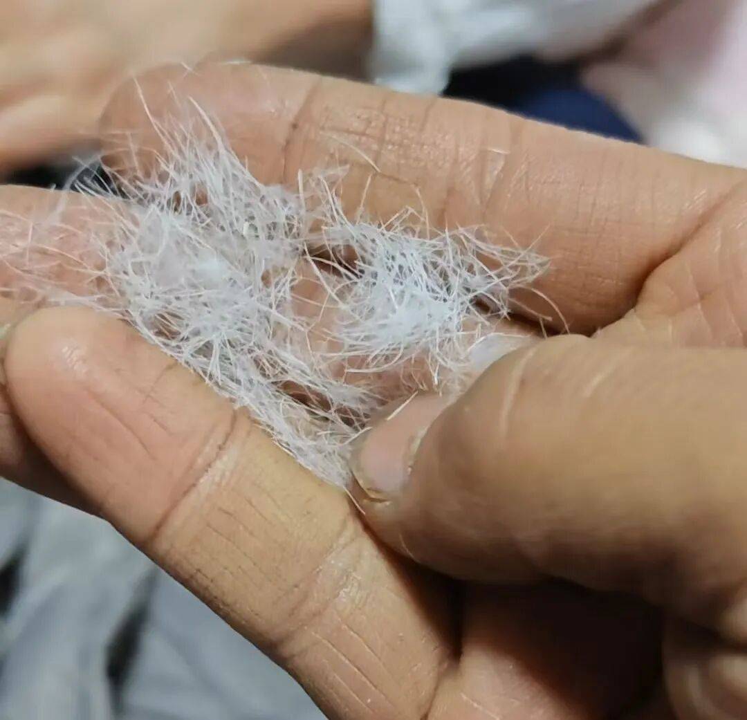 毛”消费者怀疑是假货商家悄悄删改宣传语不朽情缘网站买抗寒睡袋“鸭绒”变“鸭(图2)